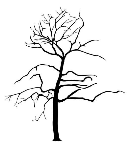 Illustration Silhouette Vectorielle Arbre Isolée Sur Fond Blanc Automne Printemps — Image vectorielle