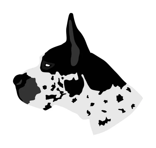 Portrait Great Dane Vector Illustration Isolated Harlequin Dog German Dog — Stock Vector