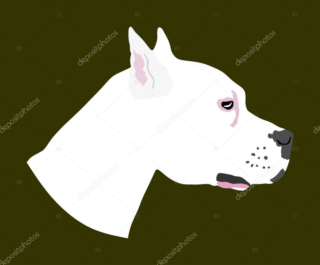 Dog portrait of American Staffordshire pit bull terrier vector illustration isolated. Dogo Argentino had. Guard sign. Beware of dog. Stafford shire.