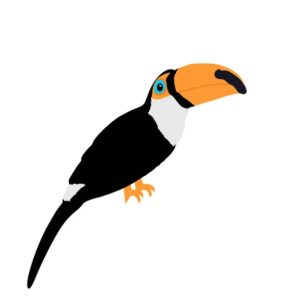 Toucan Vektor Illustration Isolerad Vit Bakgrund Exotisk Fågel Från Amerika — Stock vektor