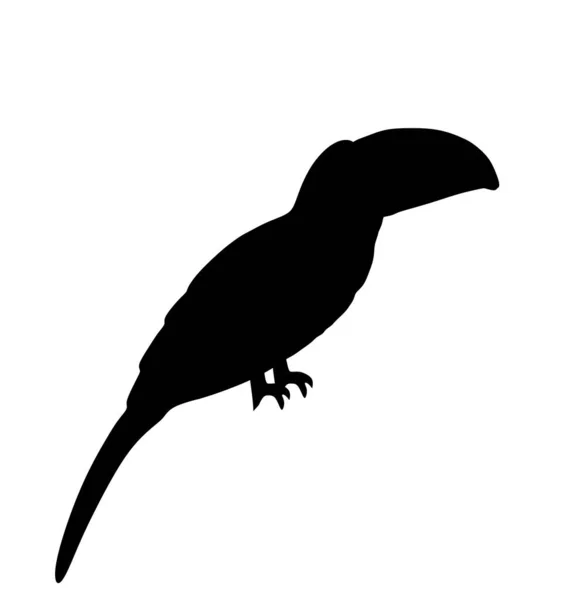 Toucan Vector Silhouet Illustratie Geïsoleerd Witte Achtergrond Exotische Vogel Uit — Stockvector