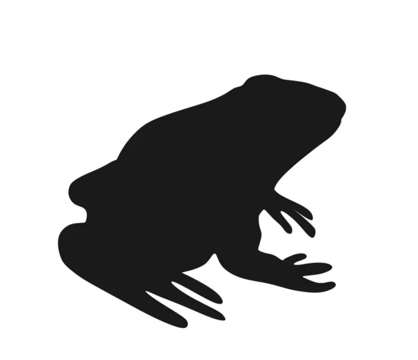 Beyaz Arkaplanda Izole Edilmiş Kurbağa Vektör Silüeti Hayvan Sembolü Amfibi — Stok Vektör