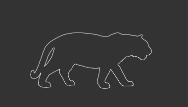 Kaplan vektör çizgisi çizimi siyah arkaplanda izole edildi. Büyük vahşi kedi. Sibirya kaplanı ya da Bengal kaplanı. 