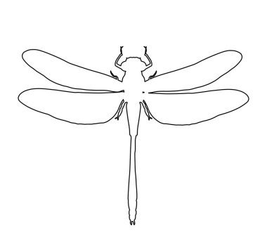 Yusufçuk vektör çizgisi beyaz arkaplanda izole edilmiş. Böcek hayvan sembolü. 