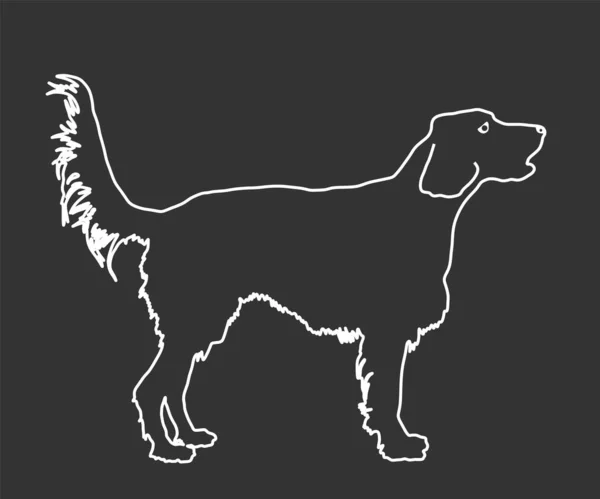 Portrét Vektorové Linie Zlatého Retrívra Ilustrace Izolovaná Černé Pozor Psa — Stockový vektor