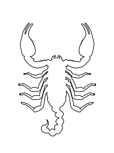 Scorpion Διανυσματική Γραμμή Περίγραμμα Εικόνα Απομονώνονται Λευκό Φόντο Θανατηφόρο Δηλητήριο — Διανυσματικό Αρχείο