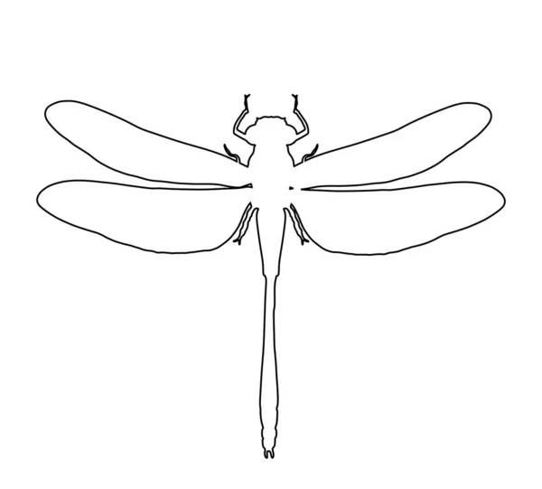 Dragonfly Διανυσματική Γραμμή Περίγραμμα Απεικόνιση Απομονώνονται Λευκό Φόντο Σύμβολο Ζώου — Διανυσματικό Αρχείο