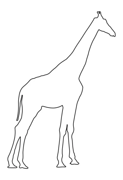 Girafa Linha Contorno Vetor Ilustração Isolada Sobre Fundo Branco Animal — Vetor de Stock