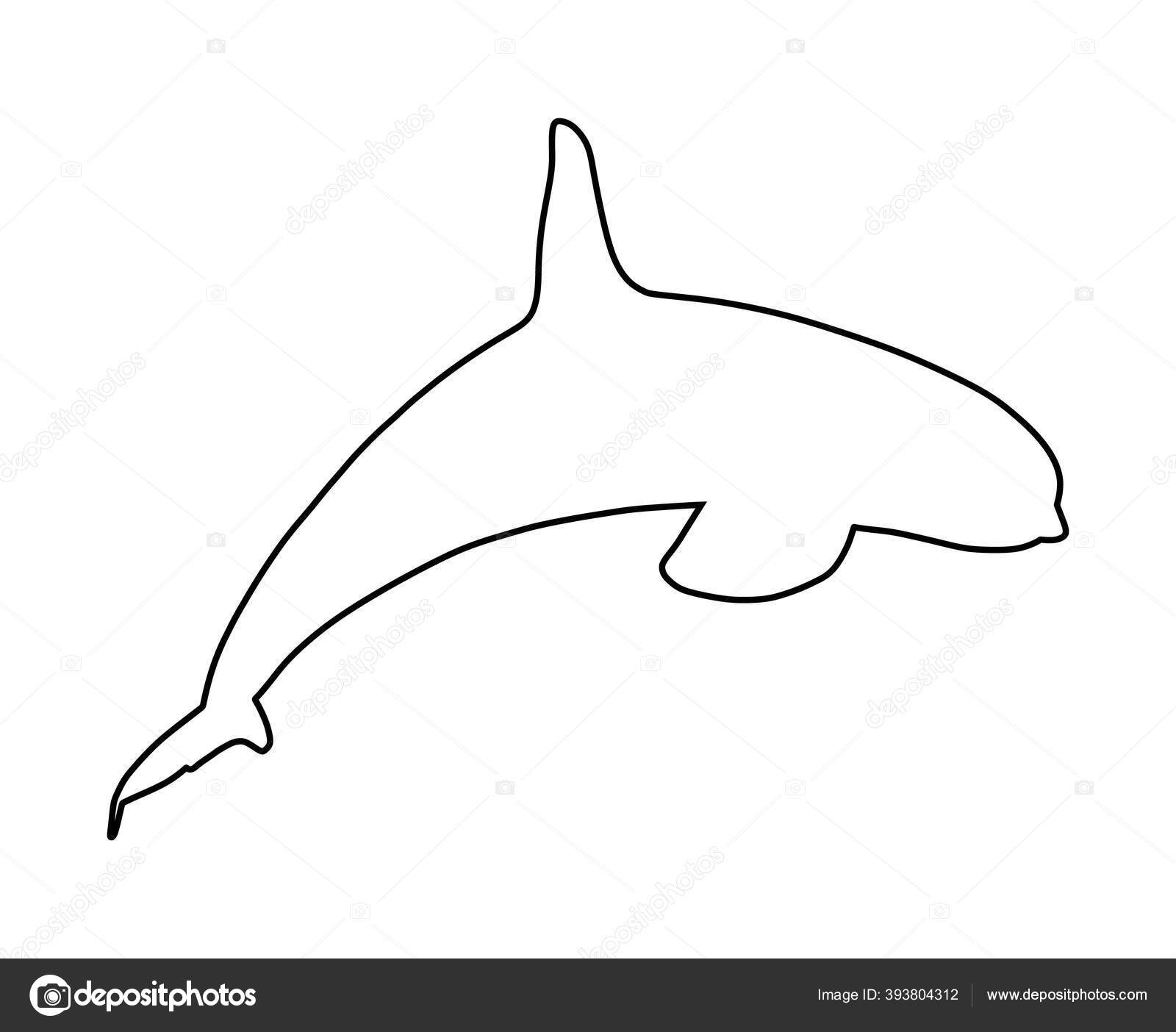 Ilustração Vetorial De Baleia Assassina Com Mancha Desenho Vetorial  Inteligente Do Mar PNG , Inteligente, Mar, Desenho Ilustração Imagem em  Pngtree, Royalty Free, image size:1600x1404