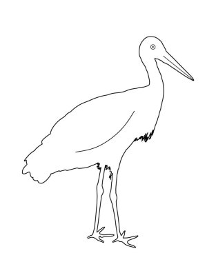 Leylek çizgisi çizimi beyaz arkaplanda izole edilmiş. Ziyaretçi, kuş göçü sembolü. Bebek zamanı. Bahar geliyor sembolü.