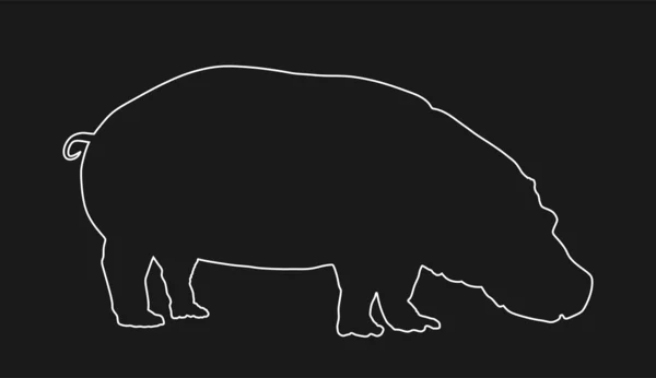 Hippopotamus Hippo Line Contour Vector Isolated Black Background Big Animal — Stock Vector