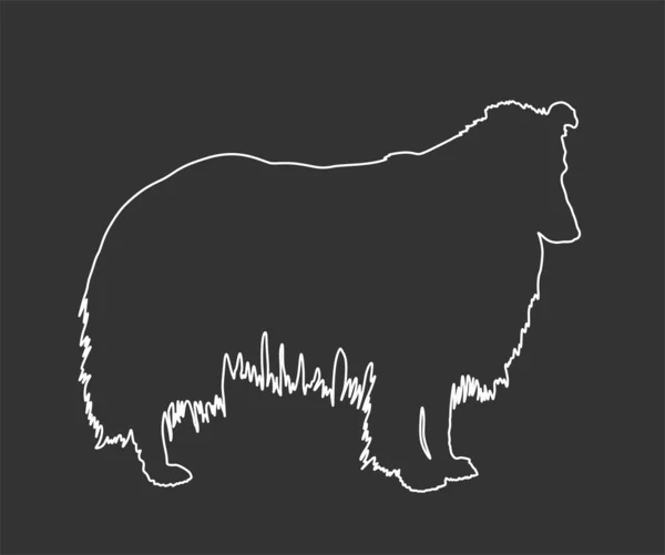 在黑色背景上孤立的粗糙科利矢量线等高线的刻画 苏格兰牧羊犬小心狗 — 图库矢量图片