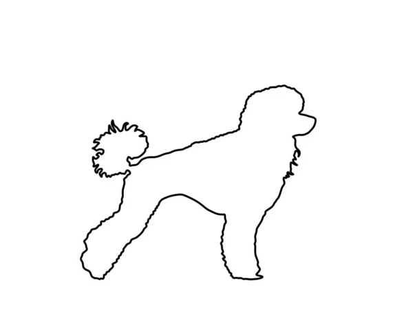 Contorno Della Linea Vettoriale Toy Poodle Ritratto Silhouette Vettoriale Royal — Vettoriale Stock