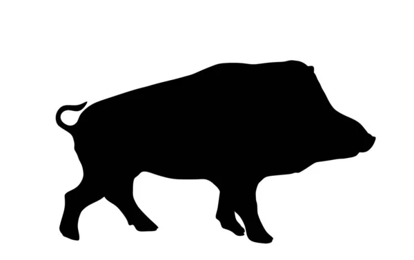 Warthog Vector Silhouet Illustratie Geïsoleerd Witte Achtergrond Bushvarken Wild Zwijn — Stockvector