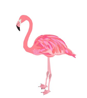 Beyaz arkaplanda izole edilmiş pembe flamingo kuş vektör çizimi.