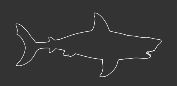 黒に隔離されたシャークベクトルライン輪郭シルエット 海の捕食者 ビーチの警報に危険 獣の顎を開いて ダイバーやスイマーにとって最大の恐怖 潜水の警報の下で — ストックベクタ