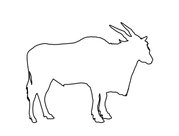 Vahşi Erkek Antilop Vektörü Beyaz Arka Planda Izole Edilmiş Arazi — Stok Vektör