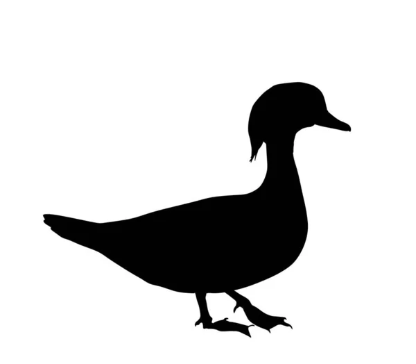 Mandarin Duck Vector Silhouette Illustration Isolated White Background Exotic Bird — Stock Vector