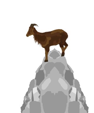 Dağ alfleri, tepe vektör çiziminin tepesindeki kayanın tepesinde beyaz arka planda izole edilmiş keçiler. Vahşi hayvan sembolü. 