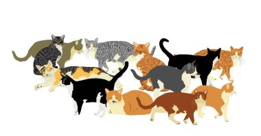 Birçok kedi vektör illüstrasyonundan oluşan bir grup beyaz arka planda izole edildi. Kedi ailesi. Sevimli dost hayvanlar..