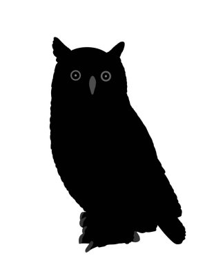 Baykuş vektör silueti çizimi beyaz arkaplanda izole edildi. Gece kuşu avcısı..