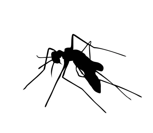 Mosquito Διανυσματική Εικόνα Σιλουέτα Απομονώνονται Λευκό Φόντο Έντομο Ρουφάει Αίμα — Διανυσματικό Αρχείο