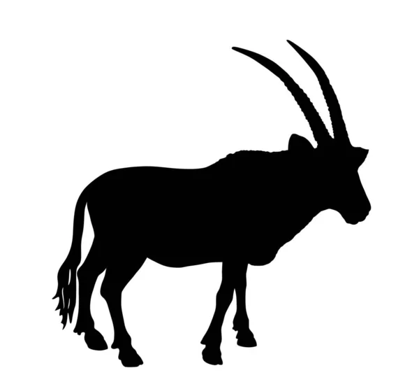 Ilustración Silueta Vectorial Oryx Aislada Sobre Fondo Blanco Oryx Gazella — Vector de stock