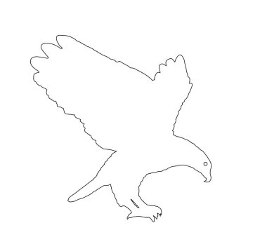 Kel kartal uçan vektör çizgisi beyaz arkaplanda izole edilmiş siluet çizimi. Kanatları açık süzülen kartal.