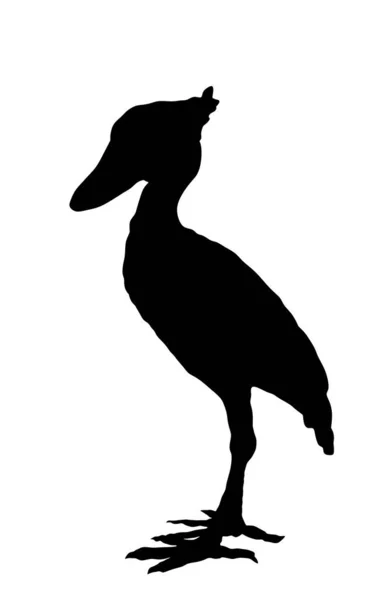 Shoebill Vector Silhouette Illustration Isolated White Background Balaeniceps Rex Whalehead — Stock Vector