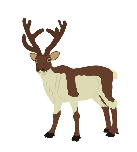 トナカイのベクターイラストが白地に隔離されています 鹿の強力な動物をリン クリスマス休暇のシンボル サンタクロース — ストックベクタ