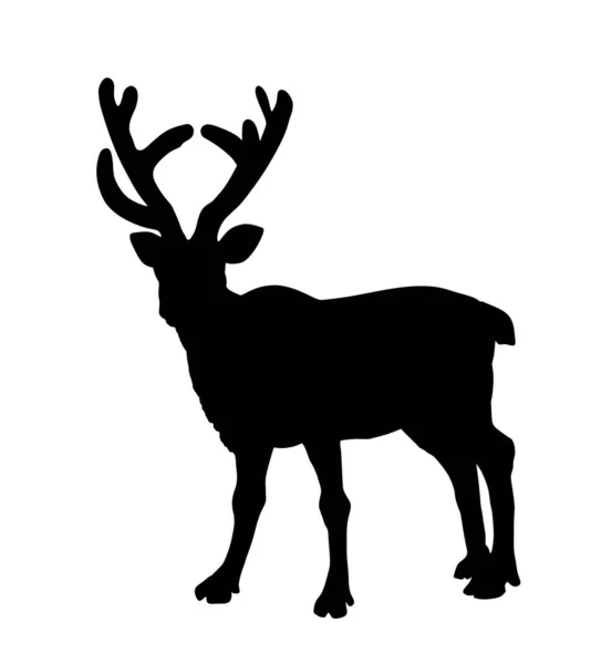 Illustrazione Silhouette Vettoriale Renna Isolata Sfondo Bianco Rein Cervo Animale — Vettoriale Stock