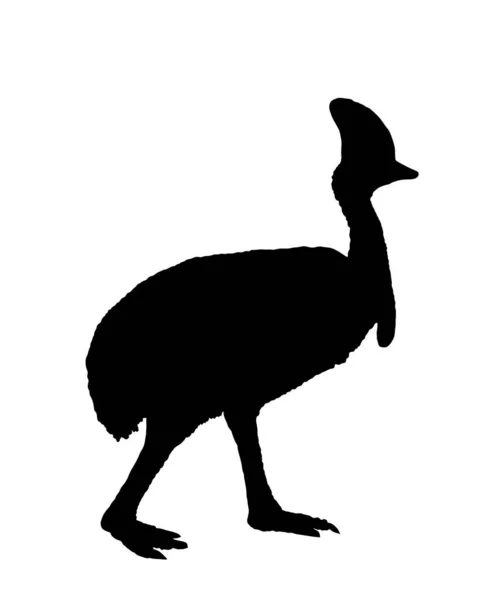 Southern Cassowary Vector Silhouette Illustration Isolated White Background Big Bird — Stock Vector