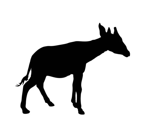 Ilustração Silhueta Vetorial Okapi Isolada Sobre Fundo Branco Girafa Floresta — Vetor de Stock