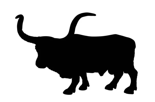 Bull Lungo Corno Bestiame Vettore Silhouette Illustrazione Isolata Sfondo Bianco — Vettoriale Stock