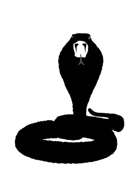 白い背景に隔離されたコブラヘビベクトルシルエットイラスト コブラ フッドを攻撃してる 黒い蛇の入れ墨 毒蛇だ 致命的な毒 薬や薬局のシンボル — ストックベクタ