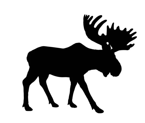 白を基調としたムースベクトルシルエットイラスト エルクシルエット 巨大な角のシンボルを持つ強力な鹿 — ストックベクタ