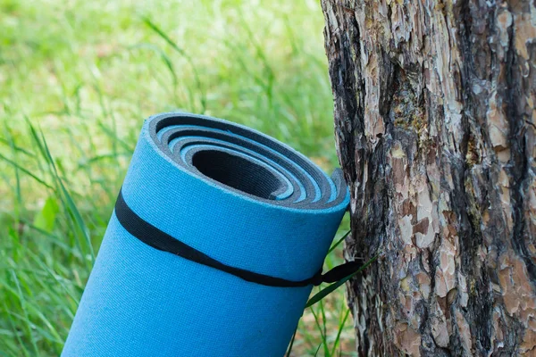 Tapis Gymnastique Tapis Sur Herbe Extérieur Près Arbre Tapis Yoga — Photo