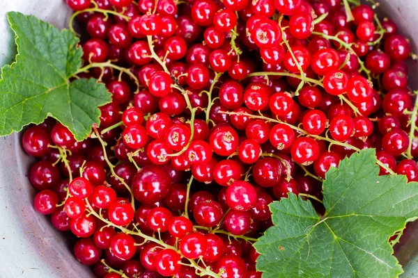 Groseille Rouge Dans Bol Métal Sur Vieux Fond Table Rustique — Photo