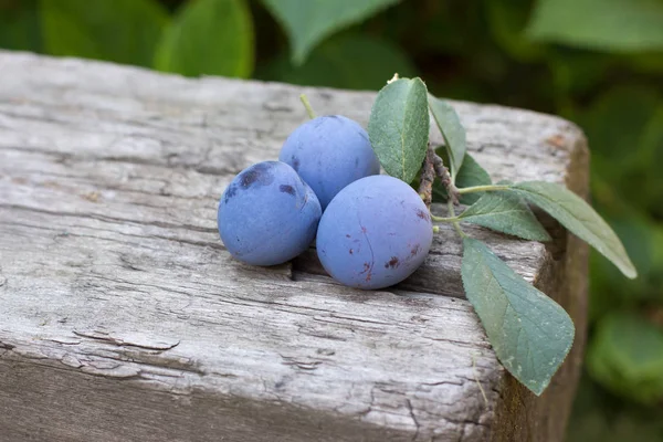 Purple Plums Rustic Wooden Background Garden Copy Space Summer Autumn — Stock Photo, Image