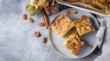 Ev yapımı pasta elma ve badem pul ile. Norveç Bisküvi pasta taş beton tablo arka plan üzerinde.