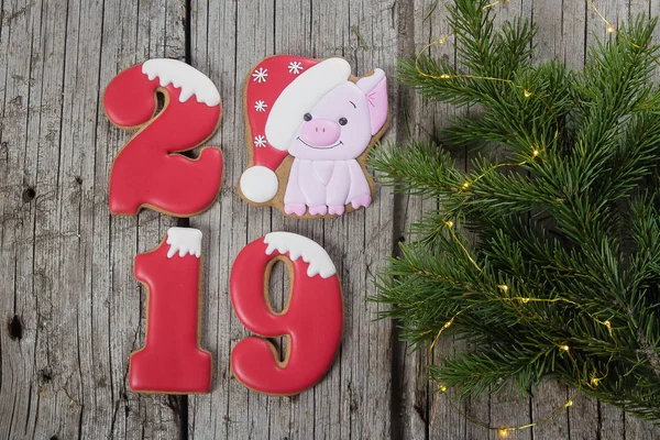 Χριστούγεννα Πρωτοχρονιά 2019 Κάρτα Έννοια Πιπερόριζα Μπισκότα Της Μορφής Των — Φωτογραφία Αρχείου
