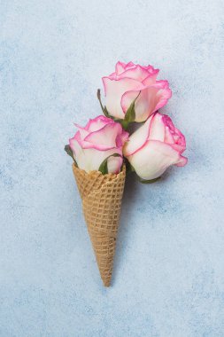 Yaratıcı minimalizm düz gözleme koni ve pembe güller mavi zemin üzerine yatırın. Sevgililer günü, anne ve bahar kavramı