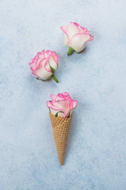 Yaratıcı minimalizm düz gözleme koni ve pembe güller mavi zemin üzerine yatırın. Sevgililer günü, anne ve bahar kavramı