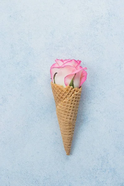 Creatieve Minimalisme Plat Lag Met Wafel Kegel Roze Rozen Blauwe — Stockfoto