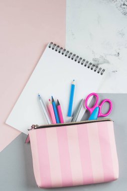 Okul konseptine geri dönelim. Kalem kasada okul malzemeleri. Pembe bac