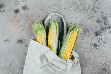 Mendil çantasında taze mısır. Sıfır atık kavramı. Üst görünüm, kopya alanı, düz yatıyordu