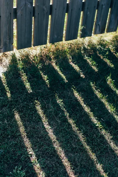 Σκιές ενός ξύλινου φράχτη σε μια μπροστινή αυλή, μπροστινό κήπο με γρασίδι — Φωτογραφία Αρχείου