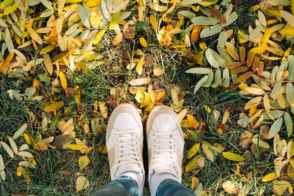 Top view of legs in boots on the autumn leaves. Autumn fall.