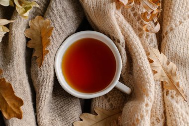 Sıcak bir fincan çay, dağınık sonbahar yaprakları arasında rahat, dokulu bir battaniyeye dayanır. Rahatlık, rahatlık ve sonbahar mevsiminin dingin atmosferini çağrıştırır..