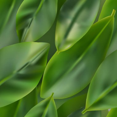 Yeşil yaprak vektör gerçekçi 3d arka plan. Ficus yaprakları ile yaratıcı gür yeşilliklerle Seamless modeli